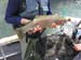 Upper Kenai 9